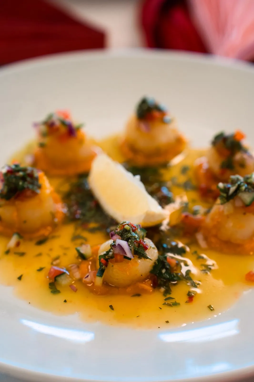 Grilled scallops plated with fresh garnish